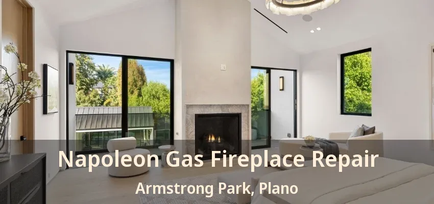 Napoleon Gas Fireplace Repair Armstrong Park, Plano - TX