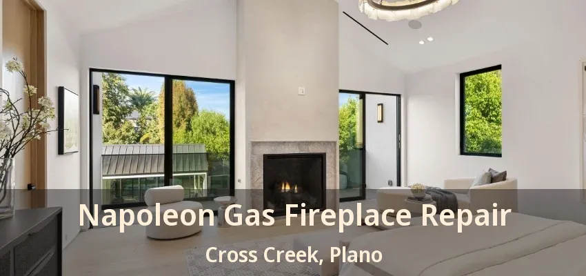 Napoleon Gas Fireplace Repair Cross Creek, Plano - TX