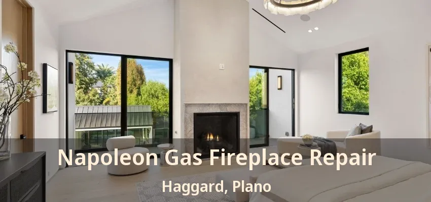 Napoleon Gas Fireplace Repair Haggard, Plano - TX