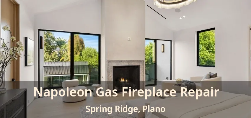 Napoleon Gas Fireplace Repair Spring Ridge, Plano - TX