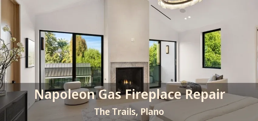 Napoleon Gas Fireplace Repair The Trails, Plano - TX