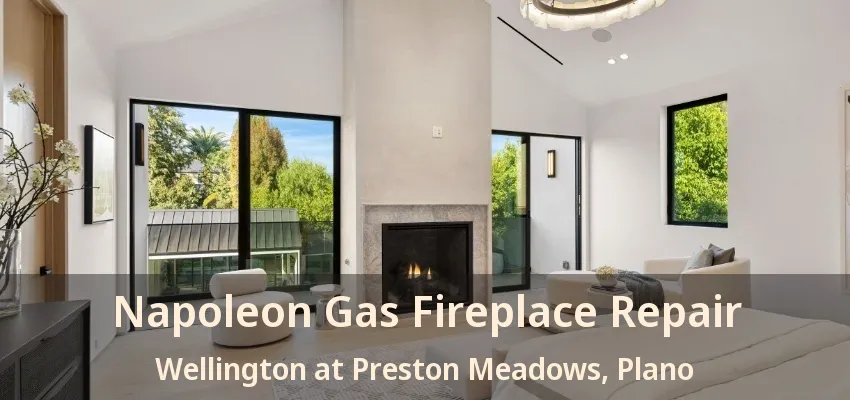 Napoleon Gas Fireplace Repair Wellington at Preston Meadows, Plano - TX