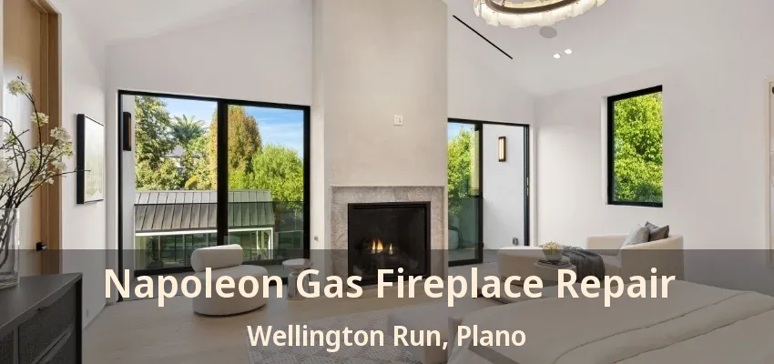 Napoleon Gas Fireplace Repair Wellington Run, Plano - TX