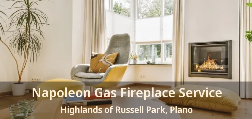 Napoleon Gas Fireplace Service Highlands of Russell Park, Plano - TX