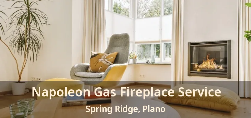 Napoleon Gas Fireplace Service Spring Ridge, Plano - TX