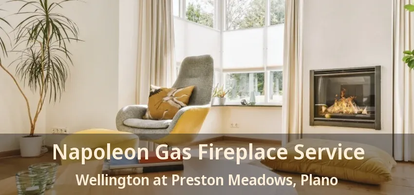 Napoleon Gas Fireplace Service Wellington at Preston Meadows, Plano - TX