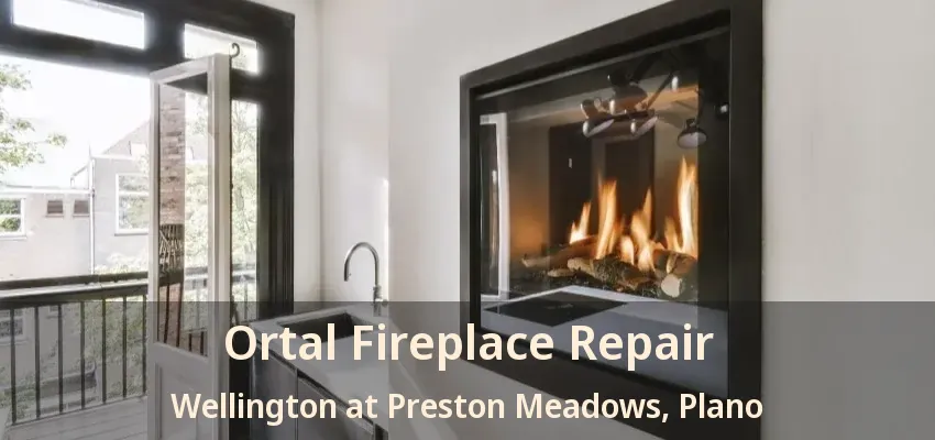 Ortal Fireplace Repair Wellington at Preston Meadows, Plano - TX