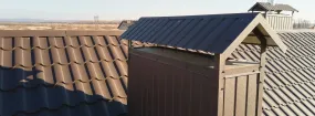 Chimney Cap Services Covington Square, Plano