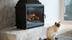 Wood Burning Fireplace Repair Covington Square, Plano